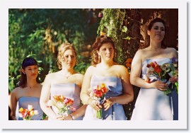 31c_2615-250-28 * Bridesmaids * 2716 x 1797 * (851KB)